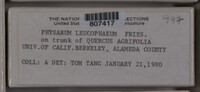 Image Associated With the Occurence